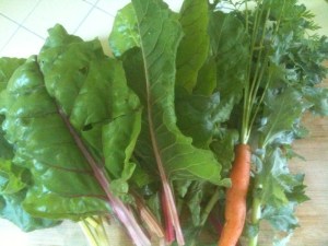 Organic Garden Greens