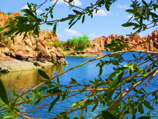 Soothing. Calming. Healing. 