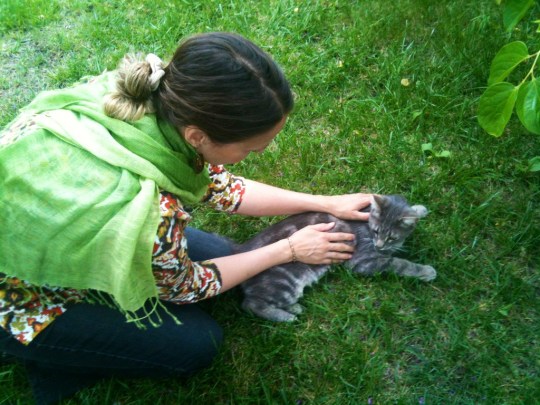 Animals are drawn to Reiki. Some meditate, some sleep with the soothing energy of Reiki.