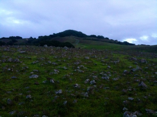 mt-taylor-nov-19-2016