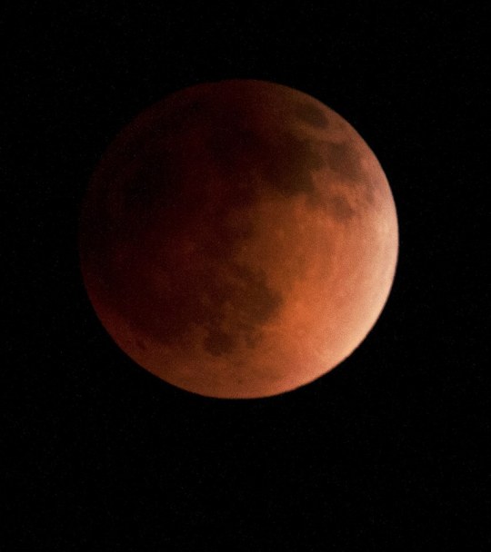 Full Blood Moon Eclipse, photo by Stephen Bruno